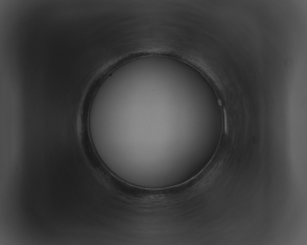 X0000100890252200806241015