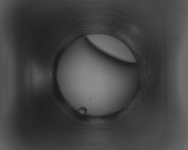 X0000100890258200806241015