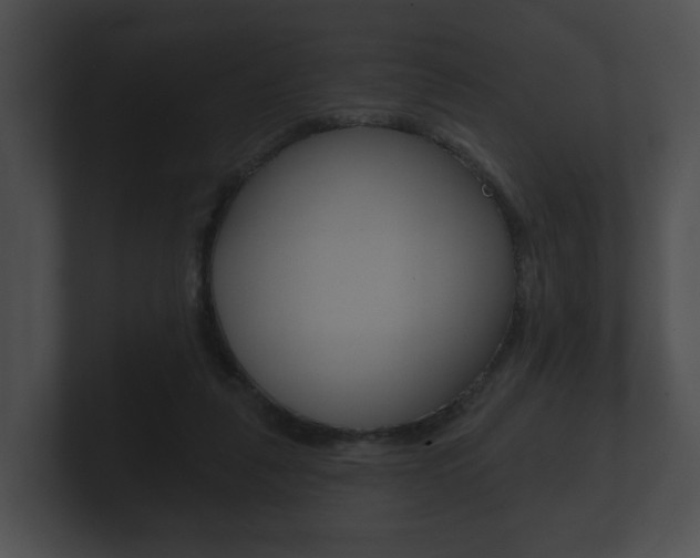 X0000100890259200806241015