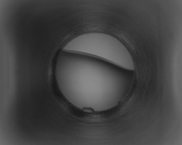 X0000100890260200806241015