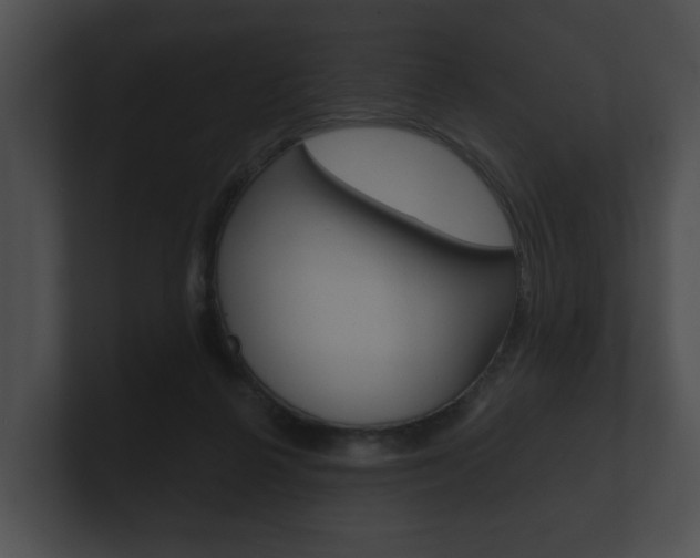X0000100890264200806241015