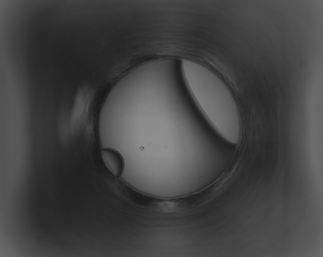 X0000100890265200806241015