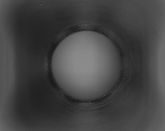 X0000100890266200806241015