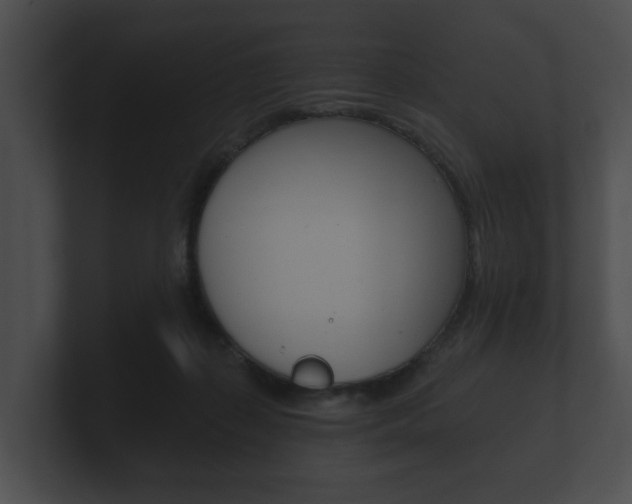 X0000100890267200806241015