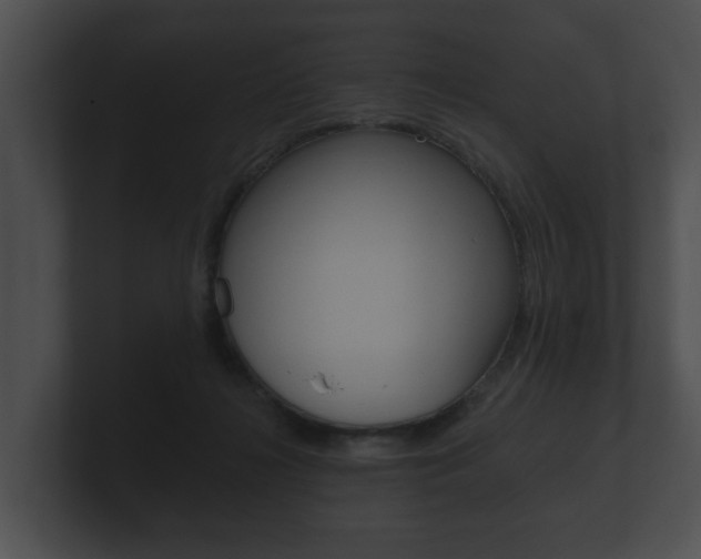 X0000100890268200806241015