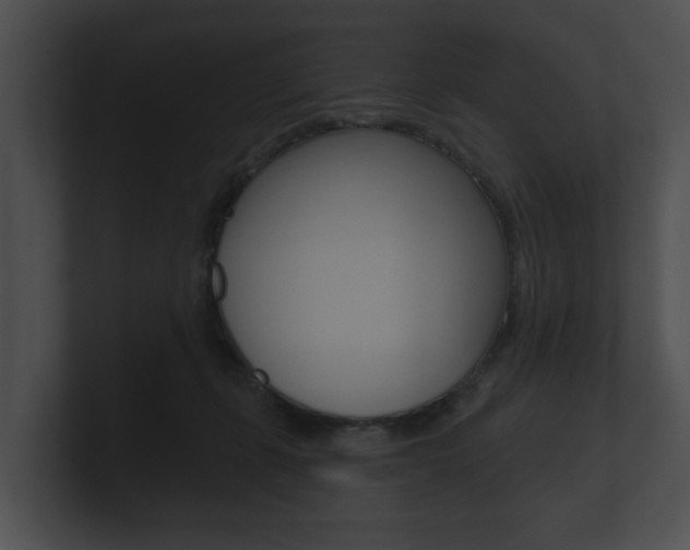 X0000100890271200806241015