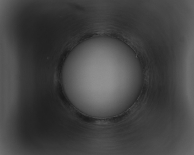 X0000100890272200806241015