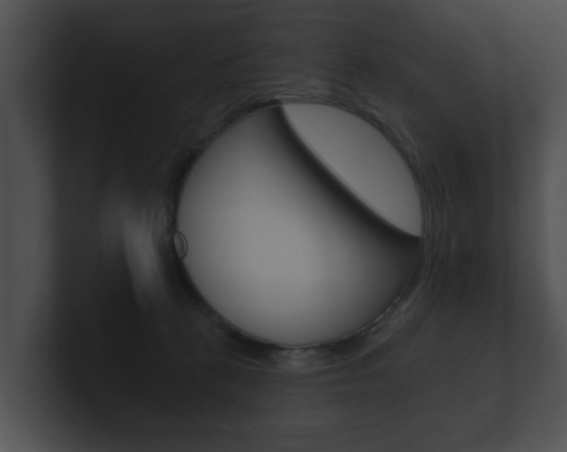 X0000100890273200806241015