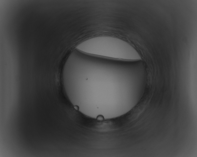 X0000100890274200806241015