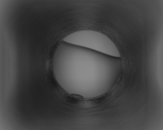 X0000100890276200806241015