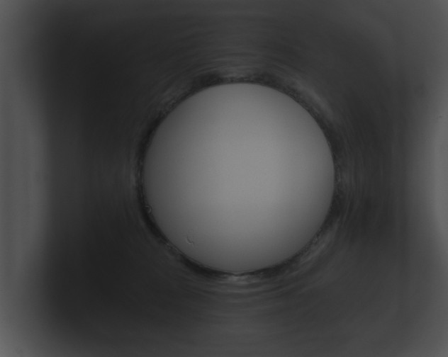 X0000100890277200806241015