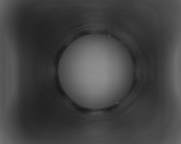 X0000100890278200806241015