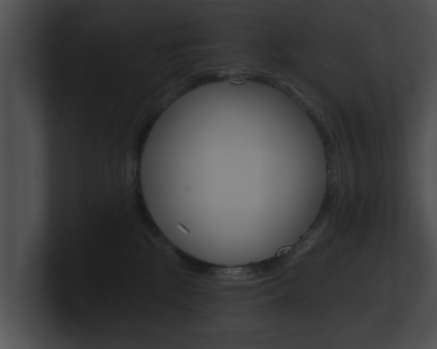 X0000100890281200806241015