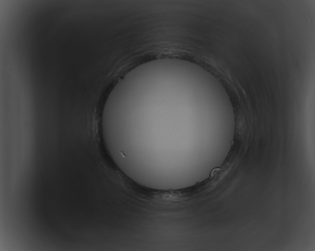 X0000100890282200806241015