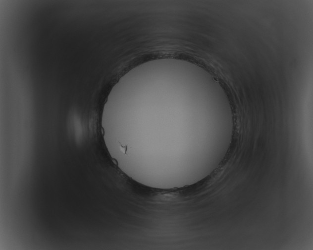 X0000100890283200806241015