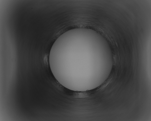 X0000100890286200806241015