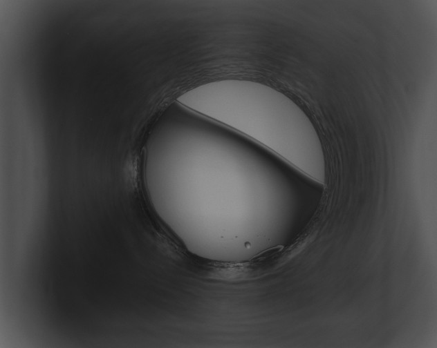 X0000100890288200806241015