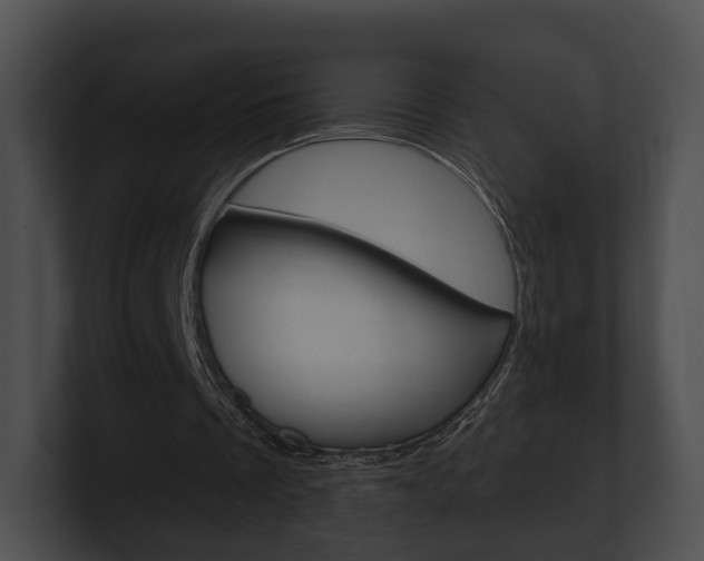 X0000100890289200806241015
