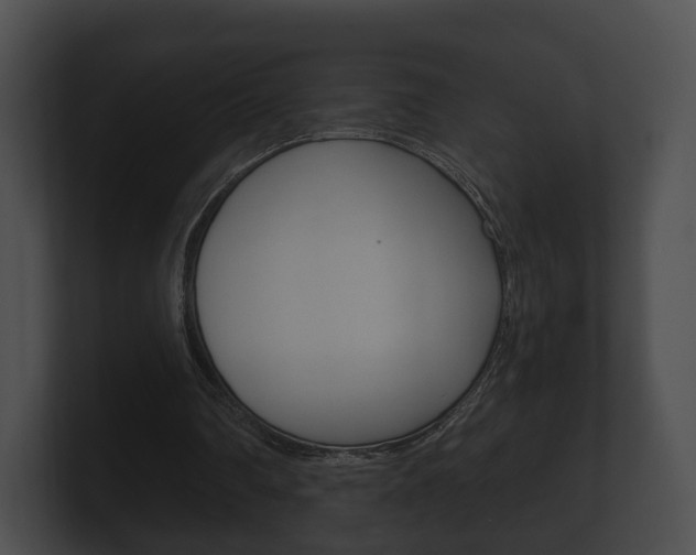 X0000100890290200806241015
