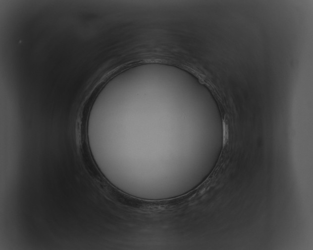 X0000100890291200806241015