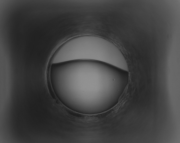X0000100890292200806241015