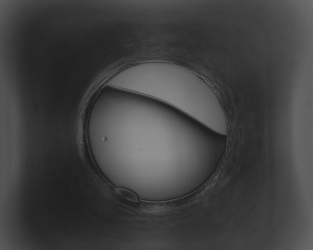 X0000100890293200806241015