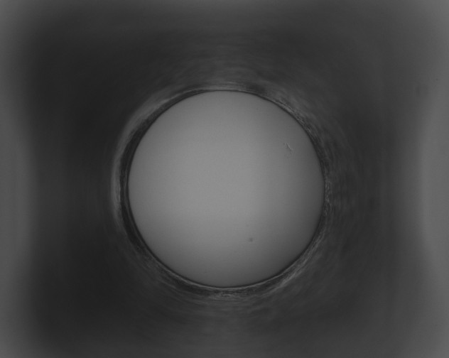 X0000100890294200806241015