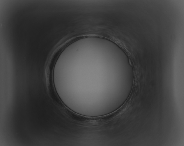 X0000100890295200806241015