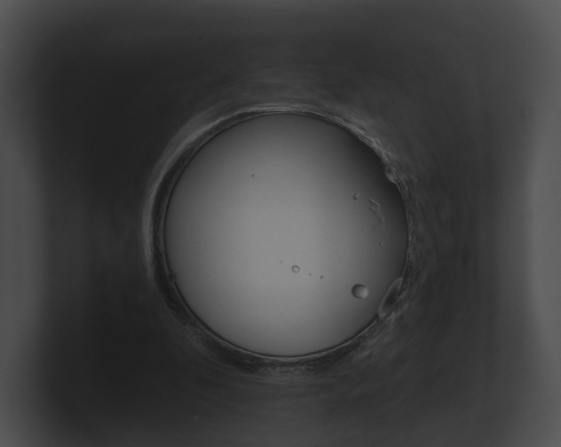 X0000100890296200806241015