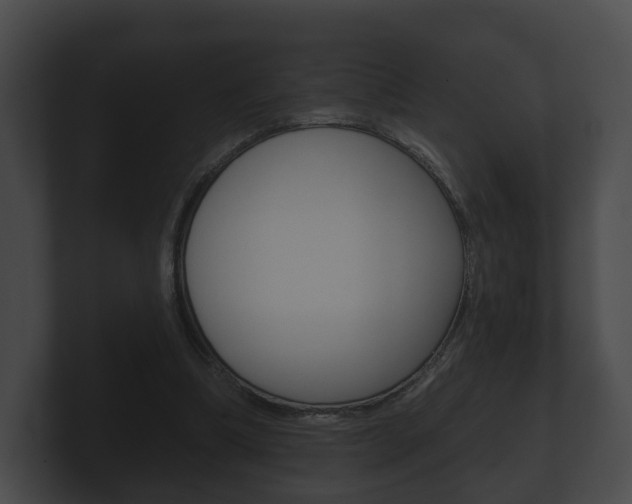 X0000100890298200806241015