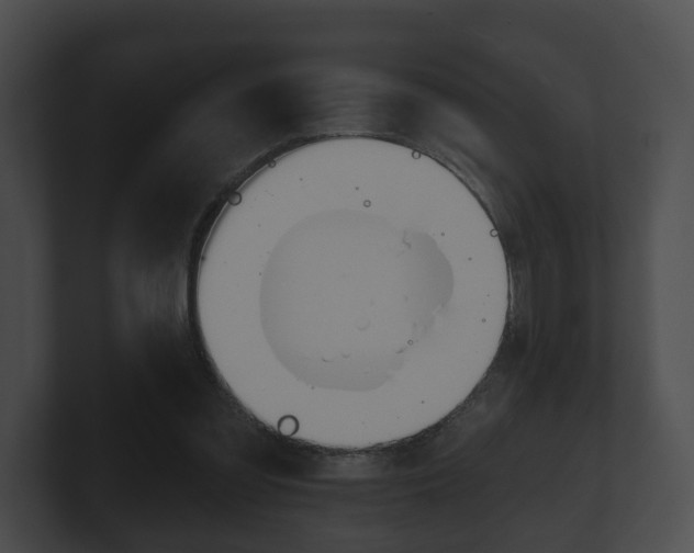 X0000100890301200806241015