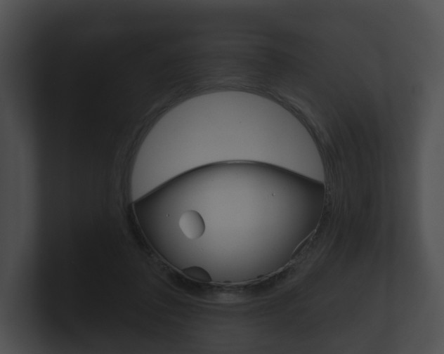 X0000100890308200806241015