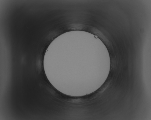 X0000100890309200806241014