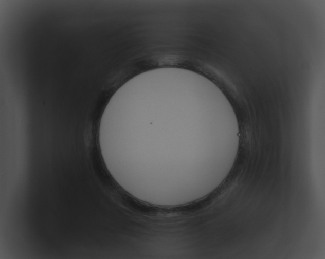 X0000100890311200806241014
