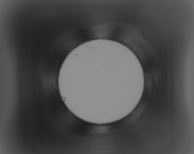 X0000100890313200806241014