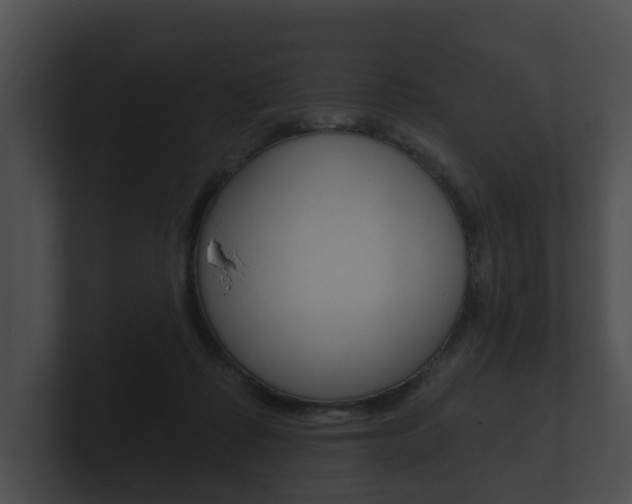 X0000100890315200806241014