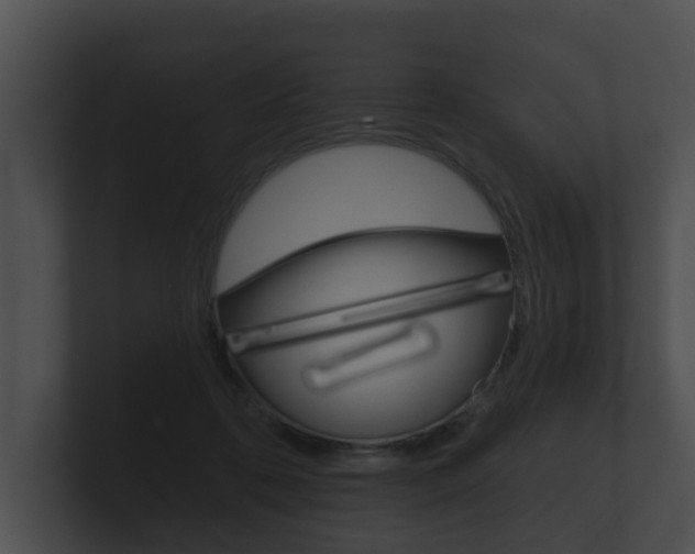 X0000100890316200806241014