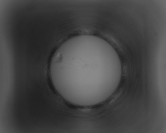 X0000100890318200806241014