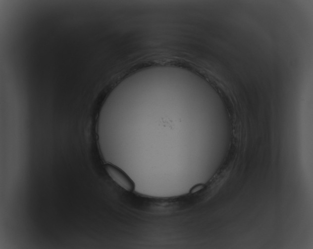 X0000100890319200806241014