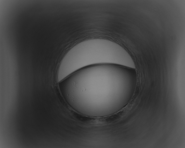 X0000100890320200806241014