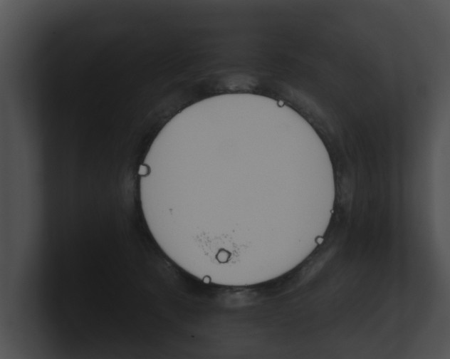 X0000100890321200806241014