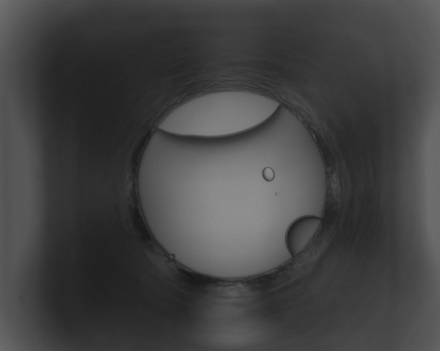 X0000100890322200806241014