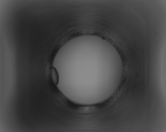 X0000100890323200806241014