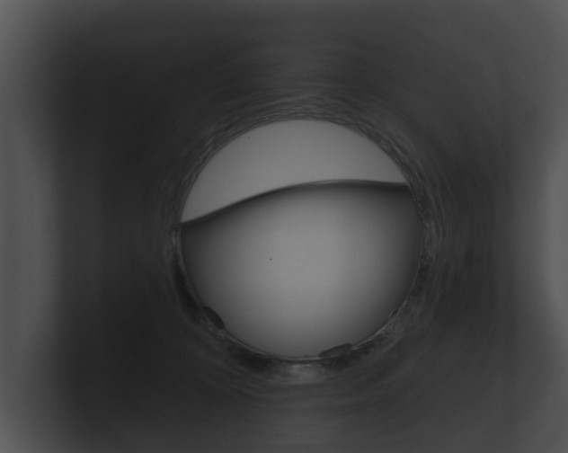 X0000100890324200806241014