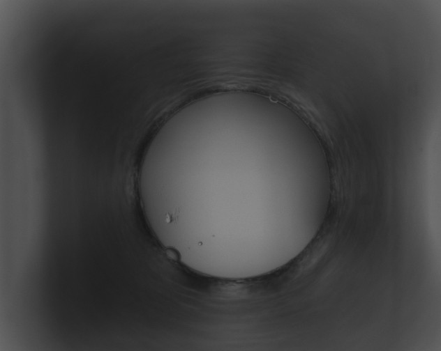 X0000100890325200806241014