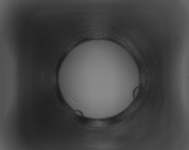 X0000100890326200806241014
