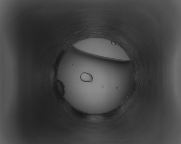 X0000100890327200806241014