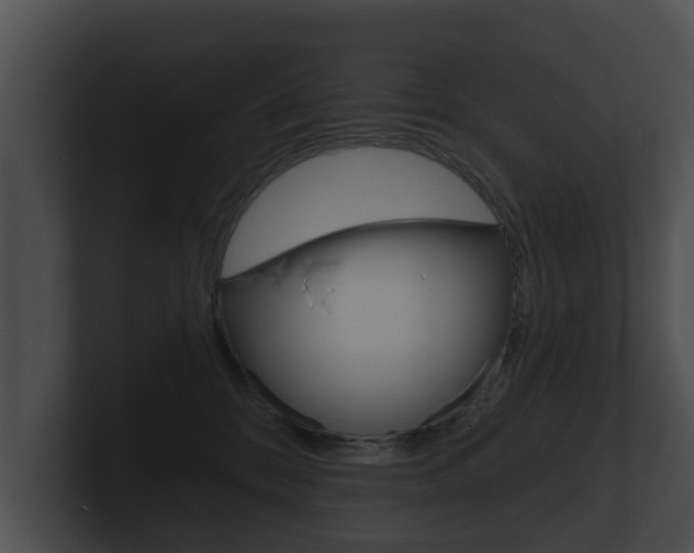 X0000100890328200806241014