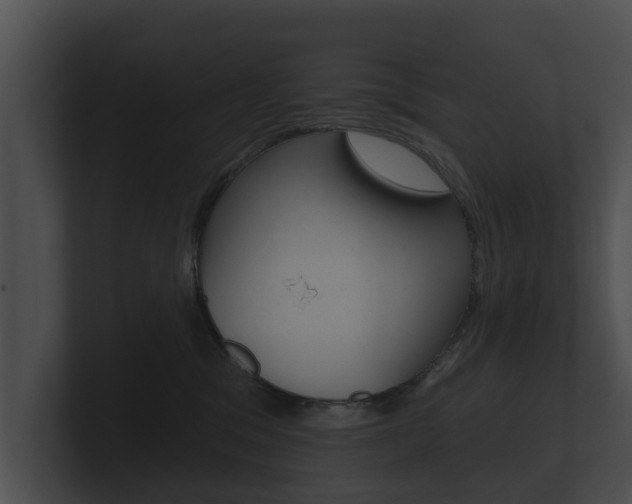 X0000100890329200806241014