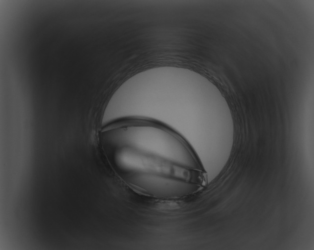 X0000100890332200806241014